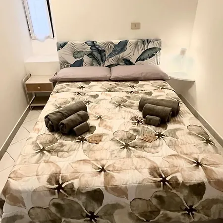 Modern With Wi-fi Apartment